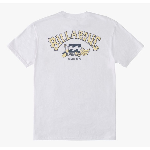 Billabong Men's Theme Arch Fill Premium Tee T-Shirt in White - Picture 1 of 4